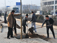 市伟德betvlctor官方版集团公司积极组织参加全市义务植树活动