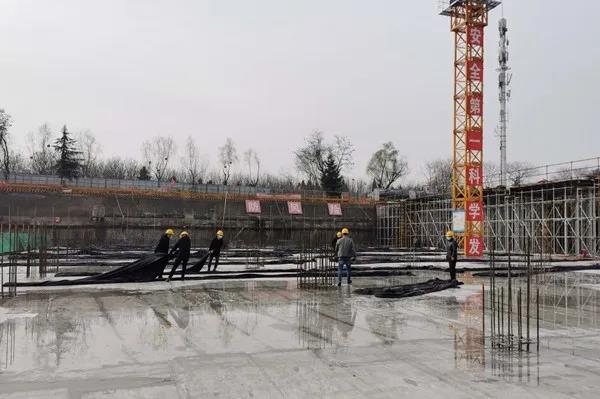 微信图片_20200305185025.jpg